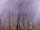 96" x 72" oil on linen