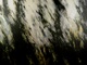 96" x 72" oil on linen