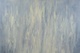 72" x 48" oil on linen