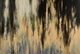 72" x 48" oil on linen