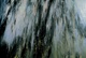 72" x 48" oil on linen