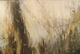 72" x 48" oil on linen